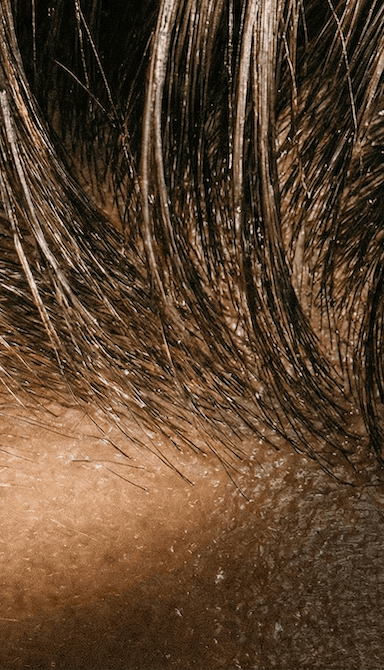 Reálné výsledky před a po